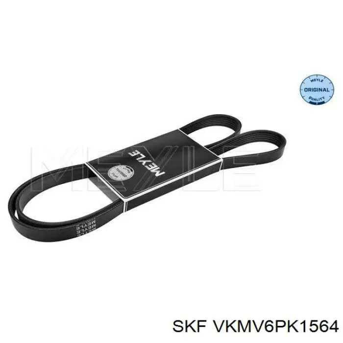 Do koszyka VKMV6PK1564 SKF Pas napędowy mechanizmów