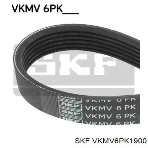 VKMV 6PK1900 SKF pas napędowy mechanizmów