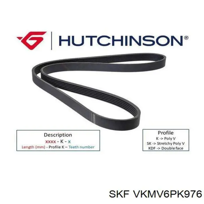 Do koszyka VKMV6PK976 SKF Pas napędowy mechanizmów