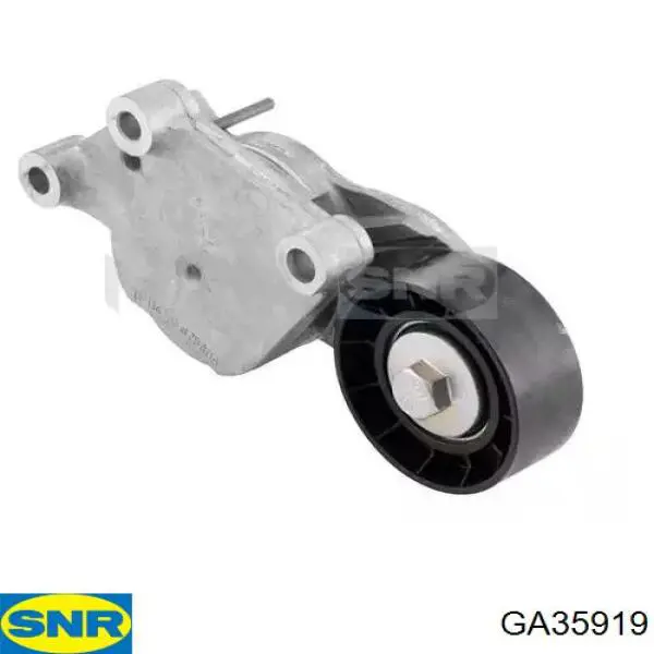 Napinacz paska napędowego SNR GA35919 cena, od 33,51 USD