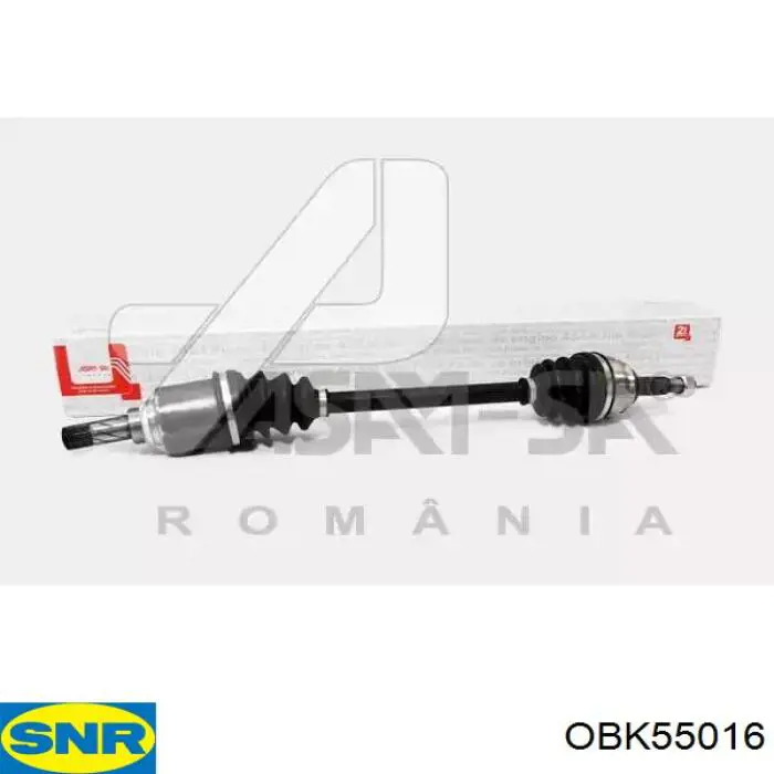 Osłona przegubu homokinetycznego półosi przedniej zewnętrzna 392410919R Renault (RVI)