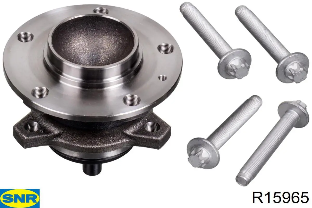 Piasta tylna SNR R15965 cena, od 101,75 USD