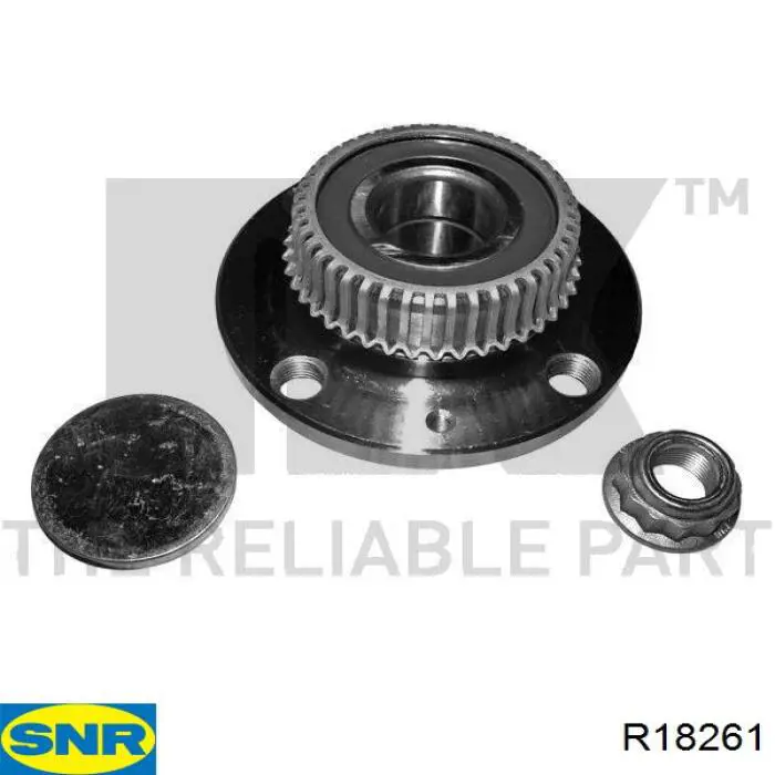 Piasta tylna SNR R18261 cena, od 36,96 USD