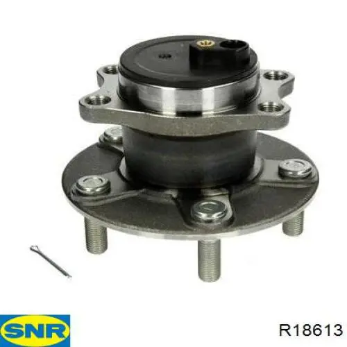 Piasta tylna SNR R18613 cena, od 112,09 USD