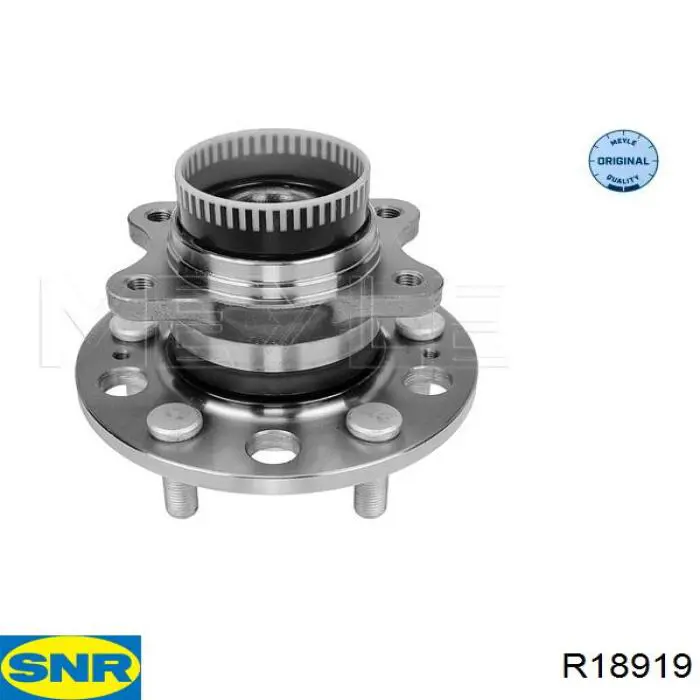 Piasta tylna SNR R18919 cena, od 80,40 USD