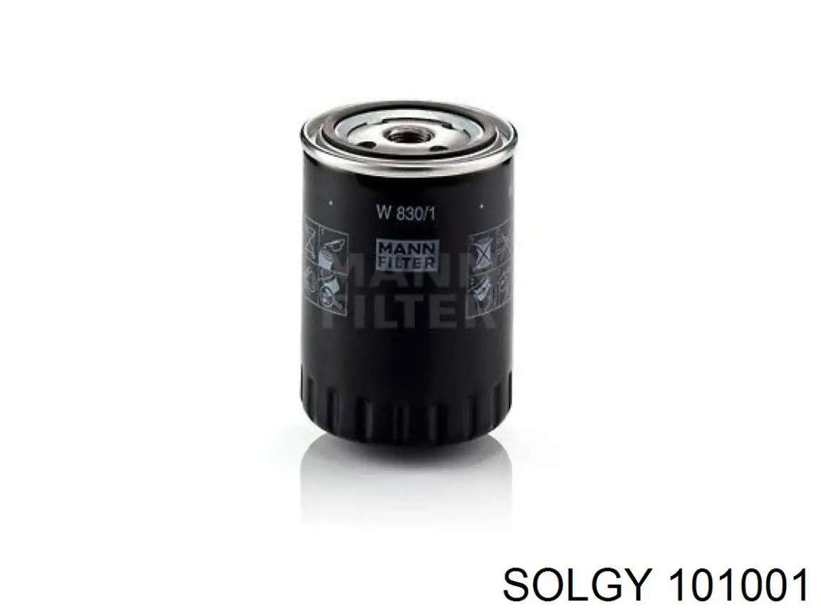 101001 Solgy Filtr oleju