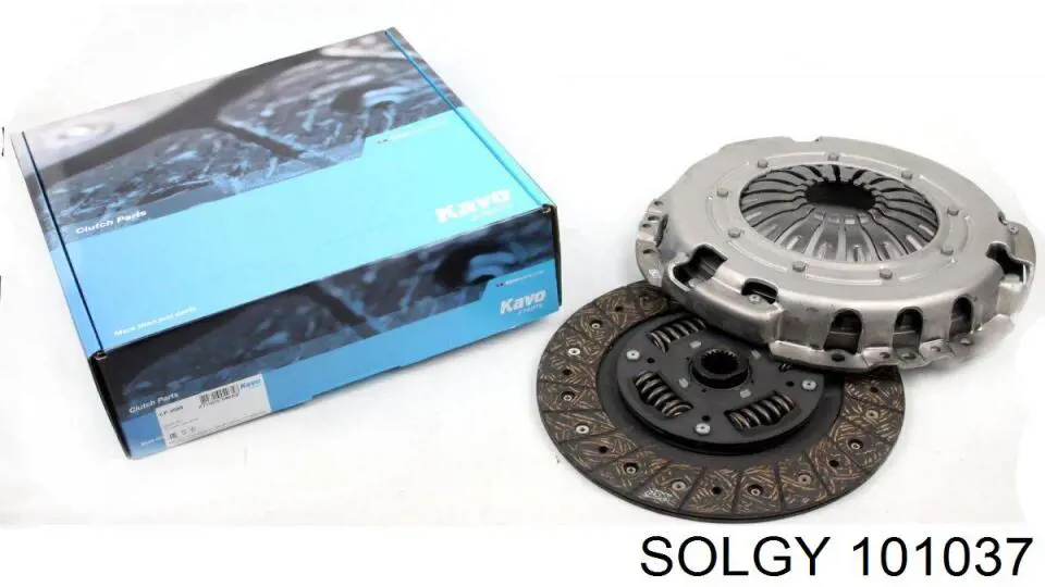  Solgy 101037