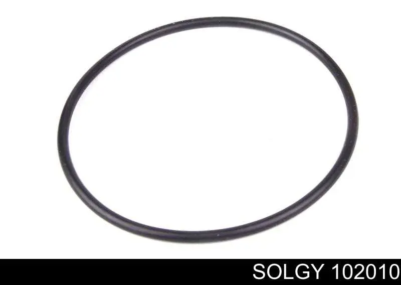 102010 Solgy Filtr paliwa