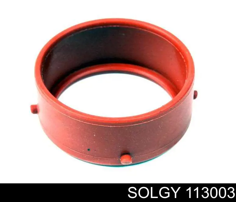 113003 Solgy Uszczelka turbiny, wkładka elastyczna