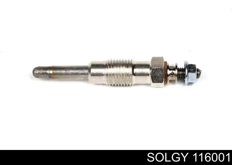 116001 Solgy Świeca żarowa
