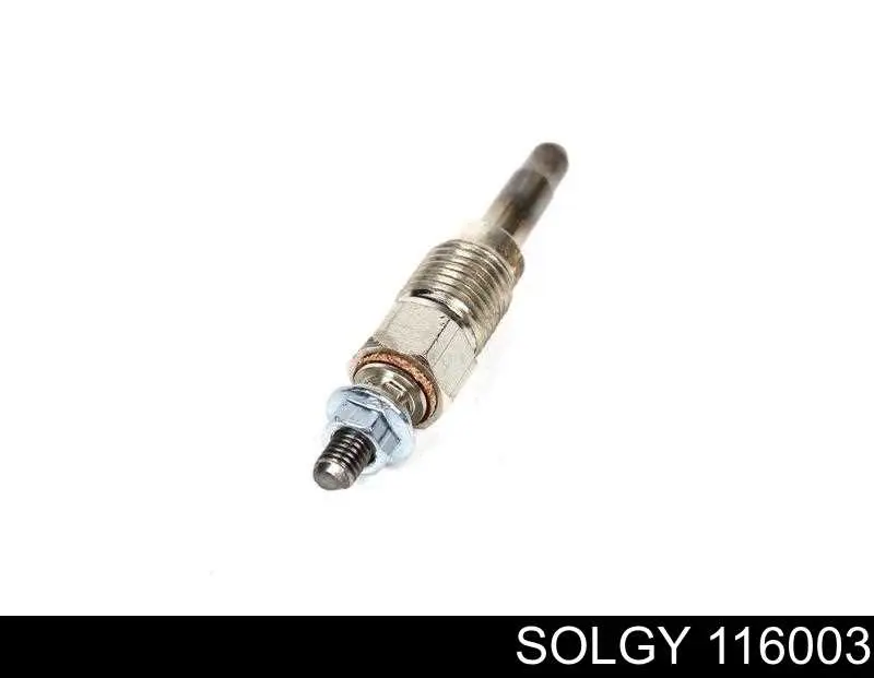 116003 Solgy Świeca żarowa