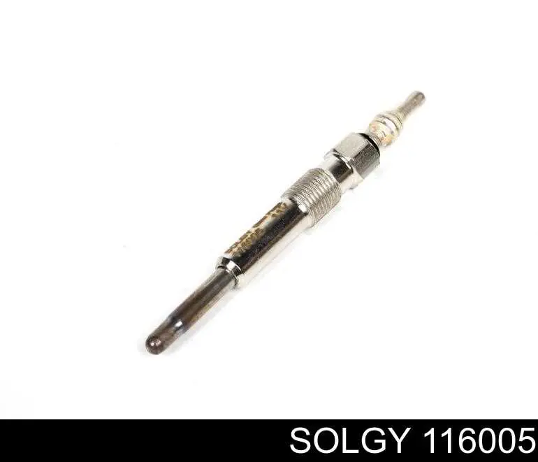 116005 Solgy Świeca żarowa