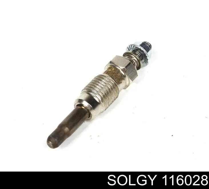 116028 Solgy Świeca żarowa