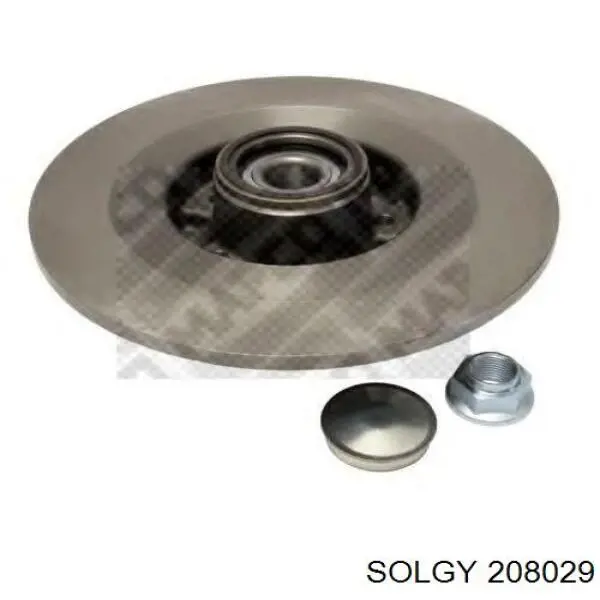 Tarcza hamulcowa tylna 208029 Solgy