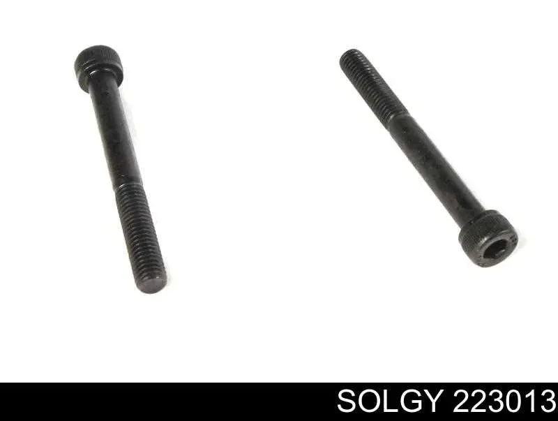 Do koszyka 223013 Solgy Zestaw naprawczy zacisku hamulcowego przedniego