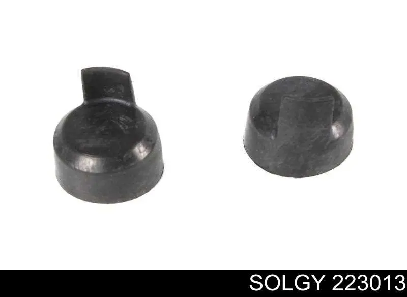 Zestaw naprawczy zacisku hamulcowego przedniego Solgy 223013