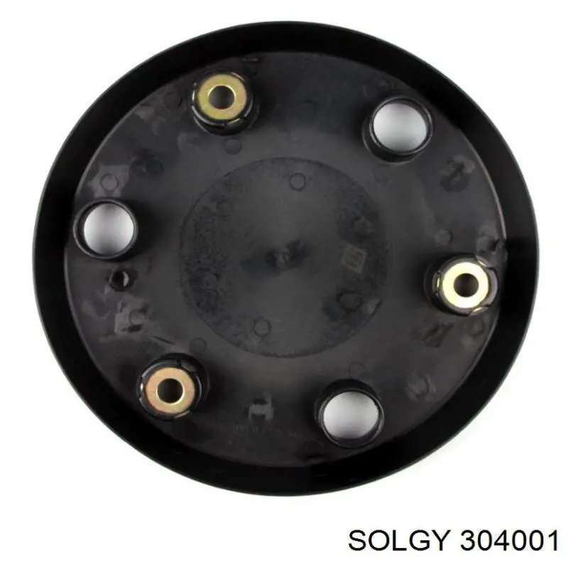304001 Solgy Kołpak do obręczy koła
