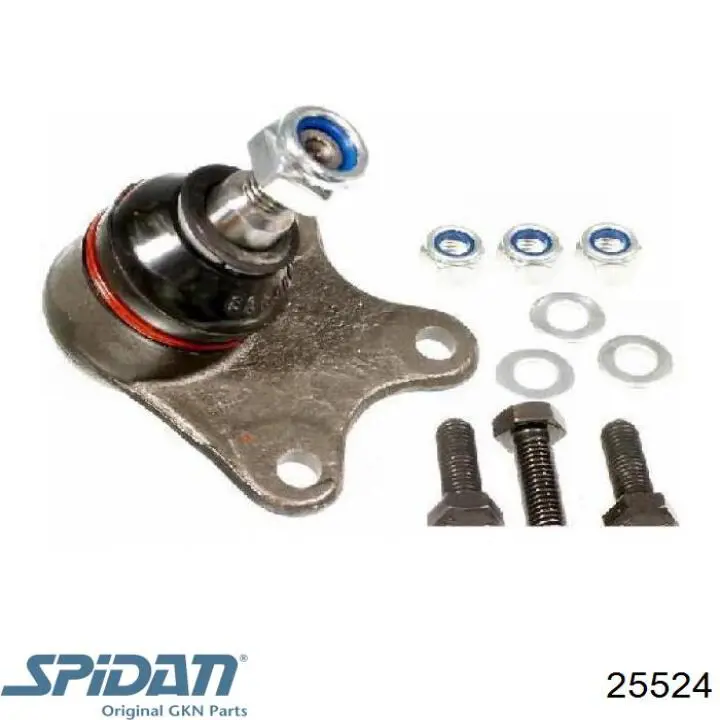 Do koszyka 25524 GKN-Spidan Osłona przegubu homokinetycznego półosi przedniej zewnętrzna