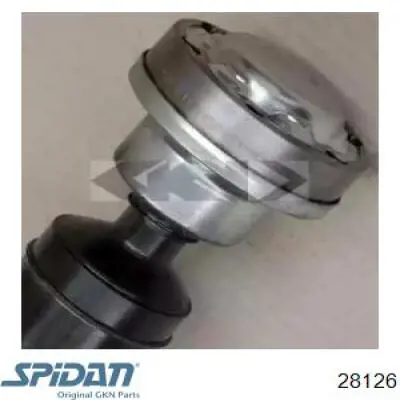 Do koszyka Wał Cardana tylny, kompletny Volkswagen Phaeton I 3D1, 3D2, 3D3, 3D4, 3D6, 3D7, 3D8, 3D9