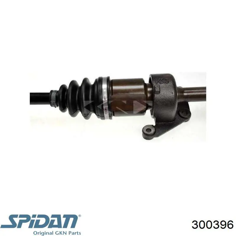  GKN-Spidan 300396