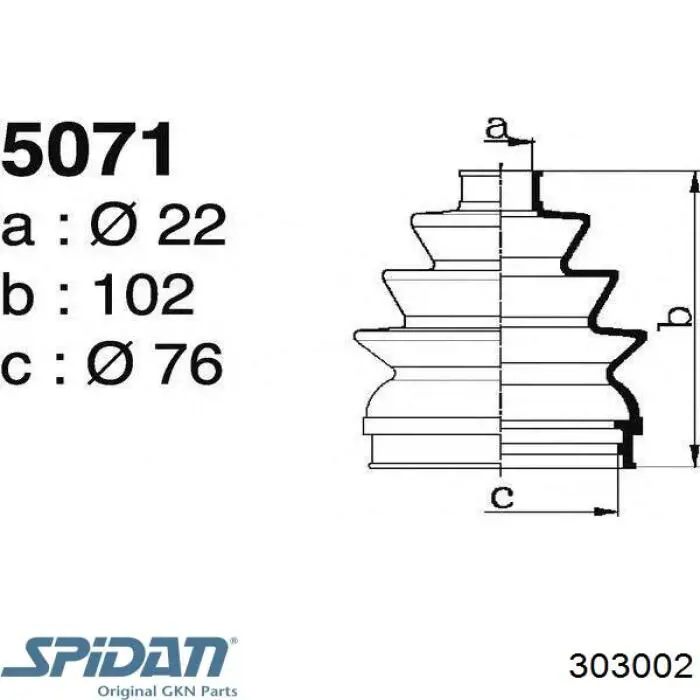  GKN-Spidan 303002