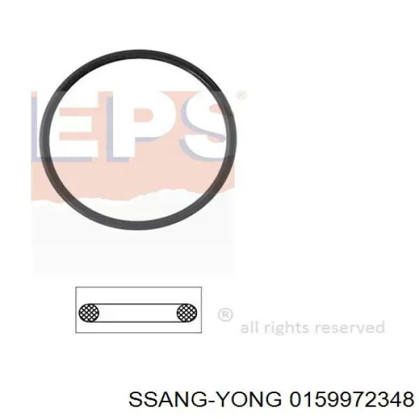 0159972348 Ssang Yong Uszczelka termostatu