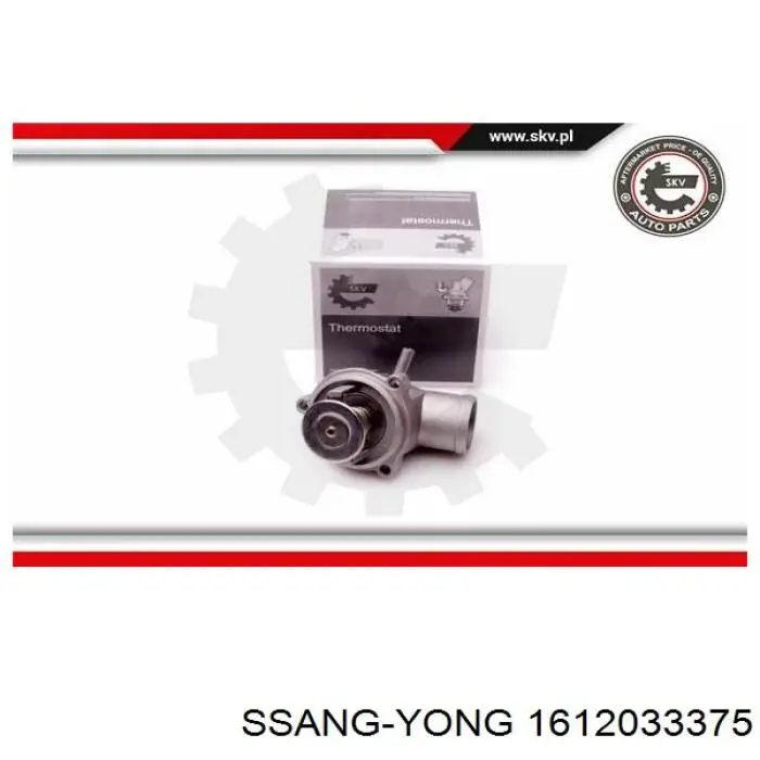Do koszyka 1612033375 Ssang Yong Termostat
