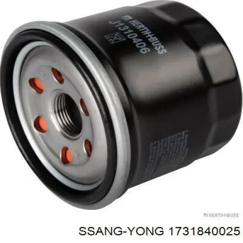 1731840025 Ssang Yong Filtr oleju