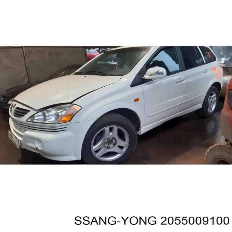 Pedał przyspieszenia (gazu) Ssang Yong 2055009100 cena, od 71,51 USD