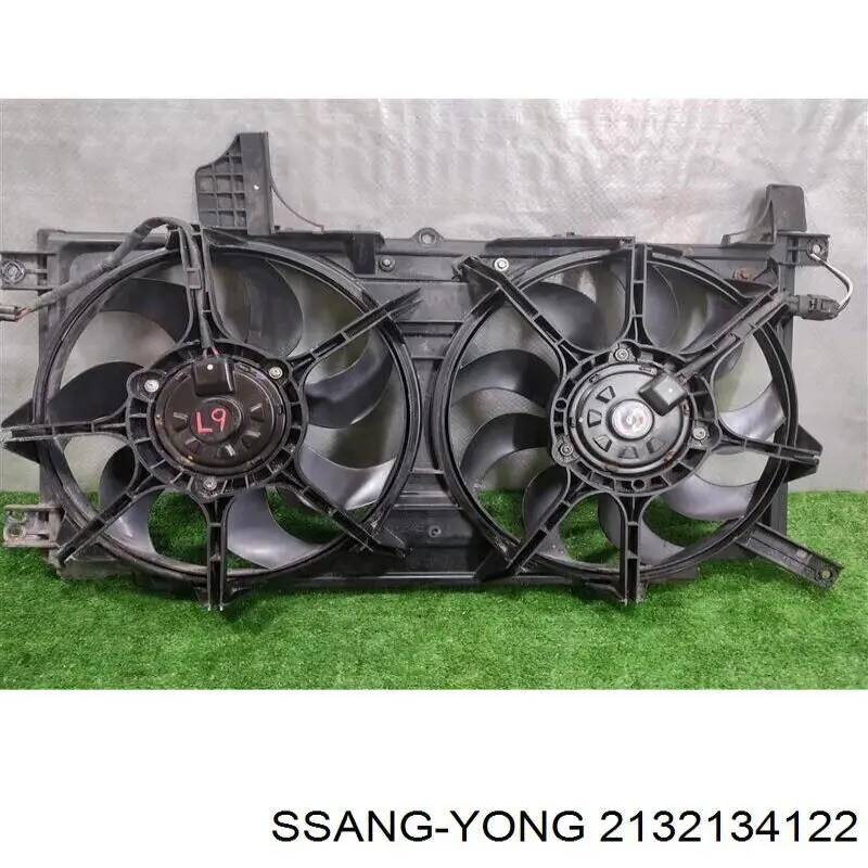 Dyfuzor chłodnicy, w komplecie z silnikiem i wirnikiem Ssang Yong 2132134122 cena, od 138,73 USD