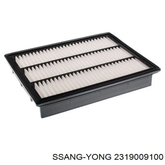 Filtr powietrza Ssang Yong 2319009100 cena, od 16,22 USD