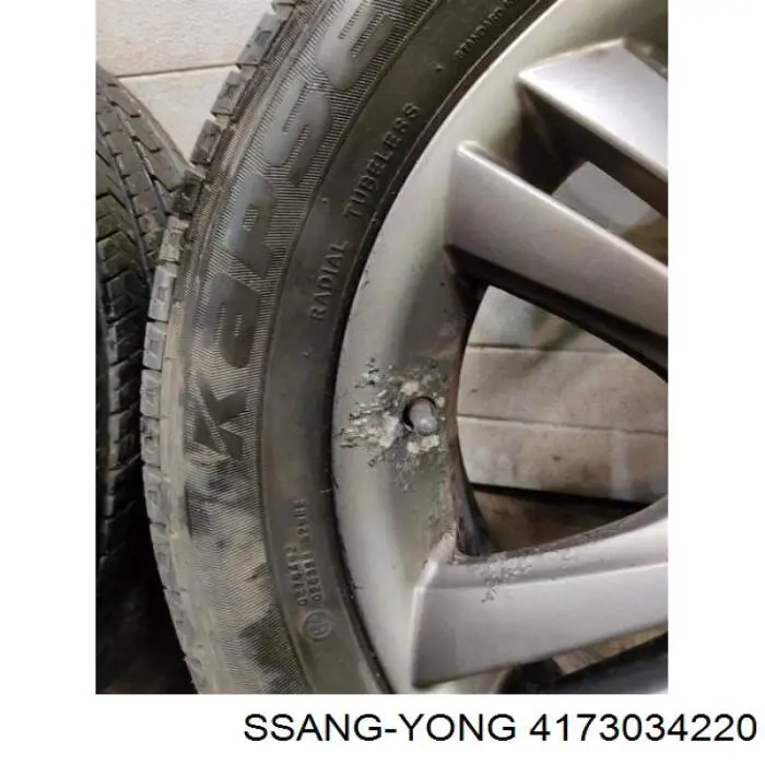 Felgi kół odlewane (lekkostopowe, tytanowe) Ssang Yong 4173034220 cena, od 236,66 USD