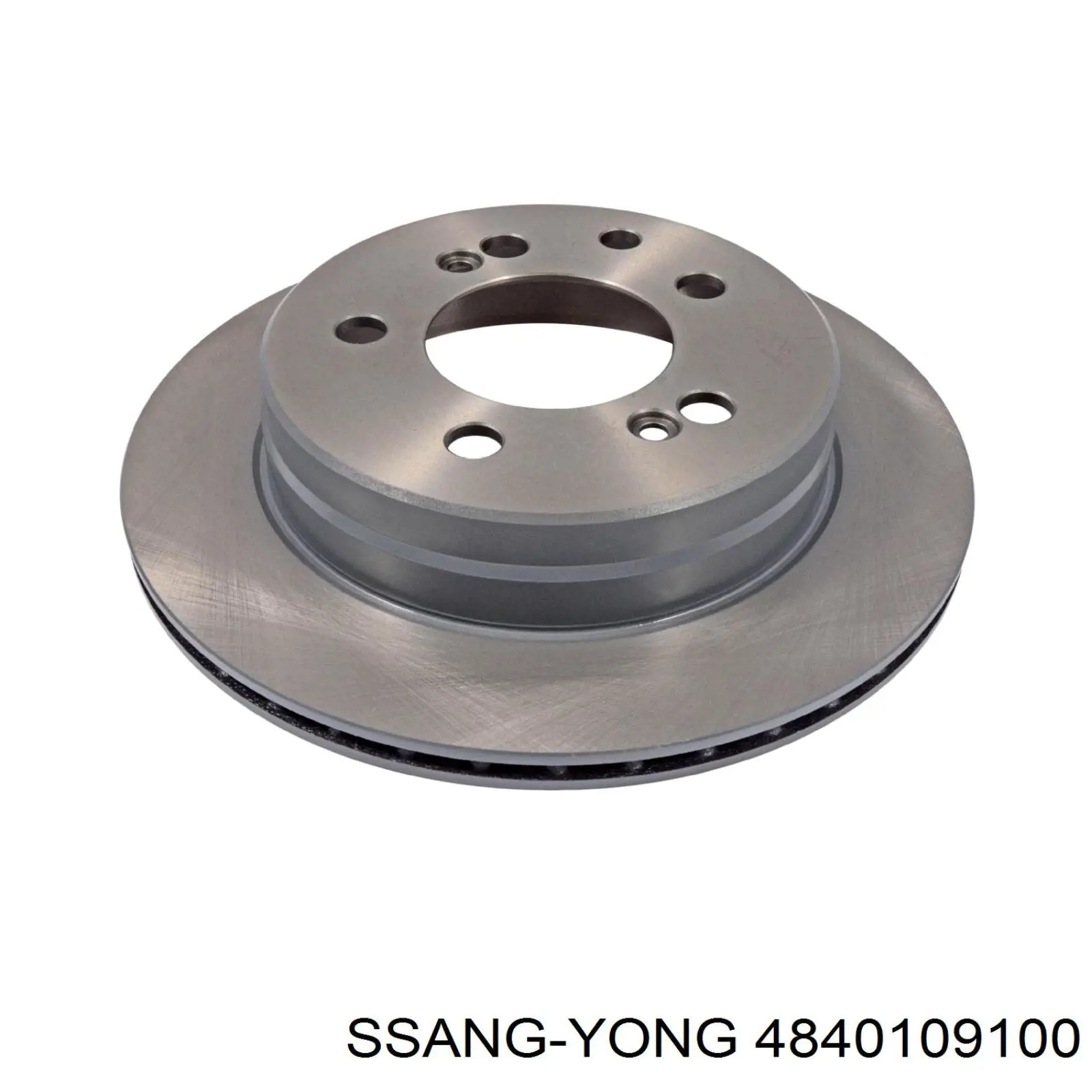 4840109100 Ssang Yong Tarcza hamulcowa tylna