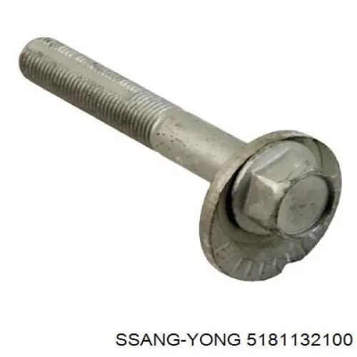 Do koszyka Błotnik przedni lewy SsangYong Actyon  