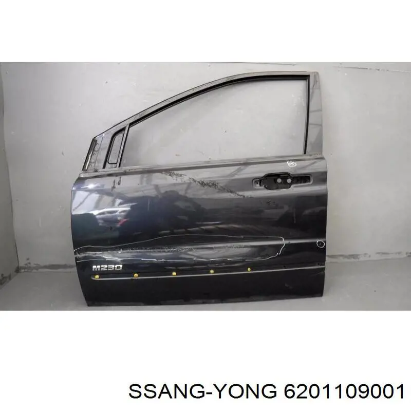 Drzwi przednie lewe do SsangYong Actyon  CJ