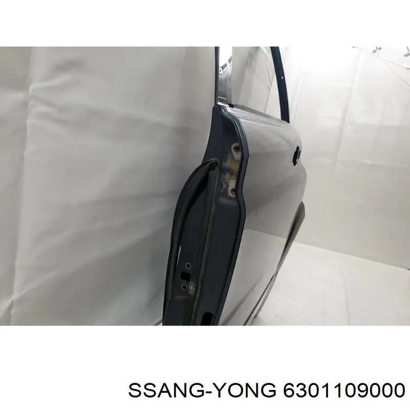 Drzwi tylne lewe SsangYong Kyron SUV (2007 - 2014) cena, od 166,42 USD