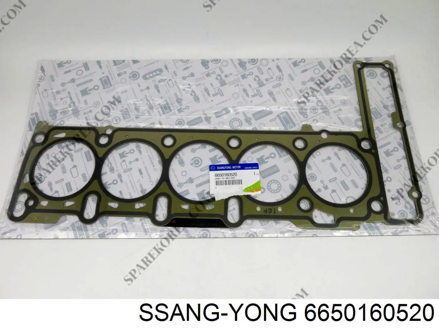 6650160520 Ssang Yong Uszczelka głowicy cylindrów