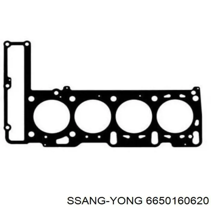 Uszczelka głowicy cylindrów Ssang Yong 6650160620 cena, od 125,48 USD