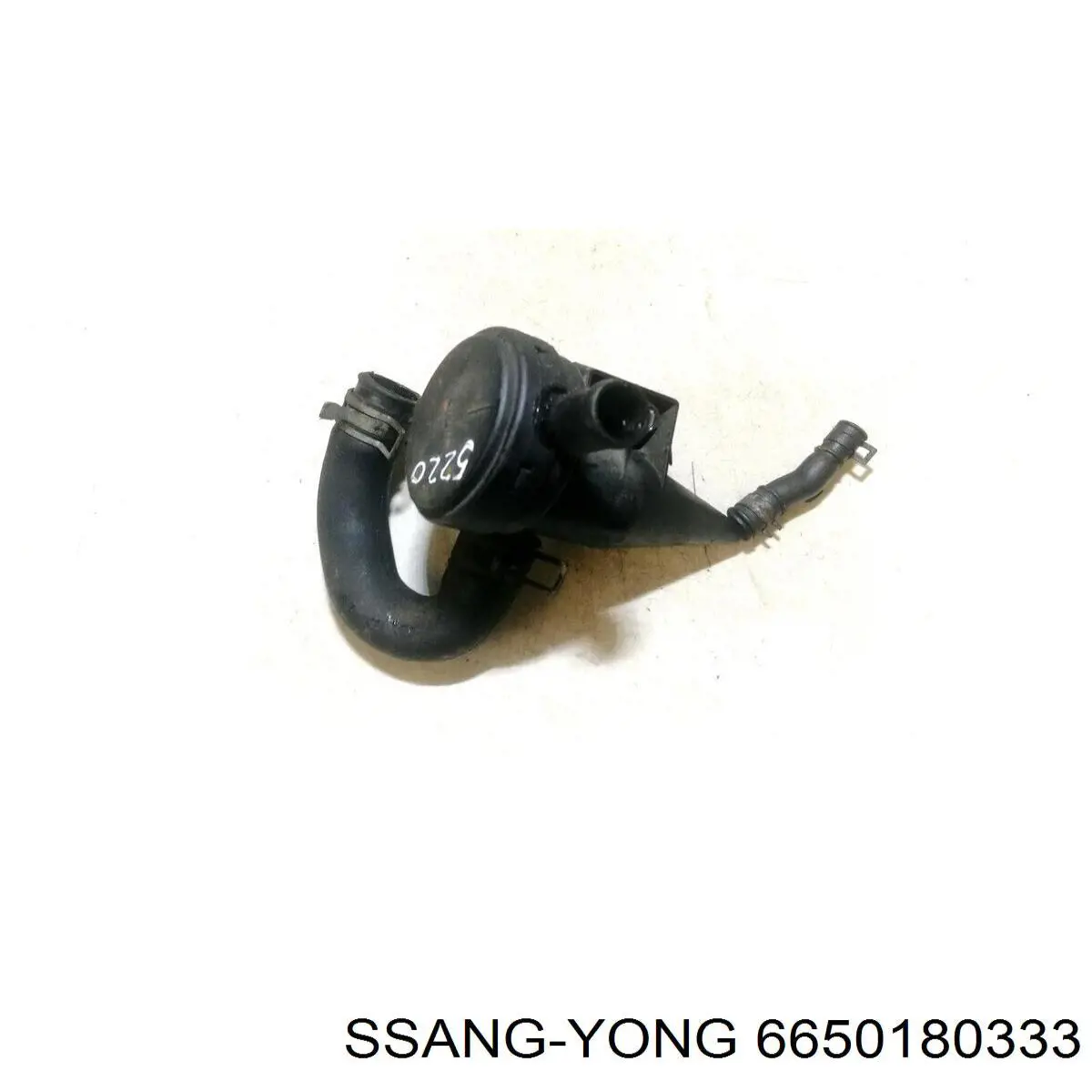 Separator oleju układu wentylacji kadłuda (bloku silnika) Ssang Yong 6650180333 cena, od 41,48 USD