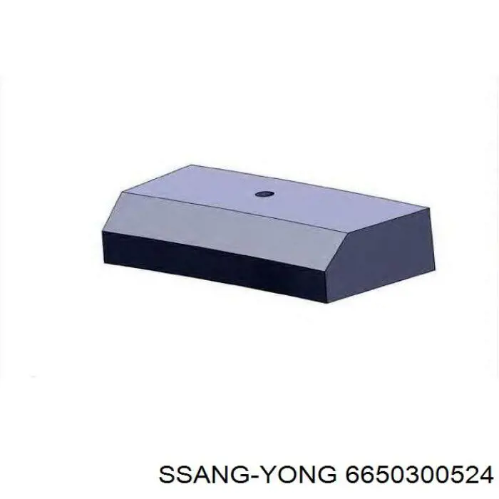 Pierścienie tłokowe na 1 cylinder, STD. Ssang Yong 6650300524 cena, od 50,35 USD
