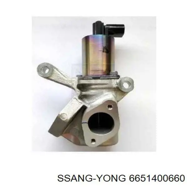6651400660 Ssang Yong Zawór recyrkulacji spalin EGR
