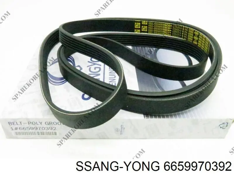 Pas napędowy mechanizmów Ssang Yong 6659970392 cena, od 25,55 USD