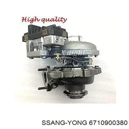 6710900380 Ssang Yong Turbina