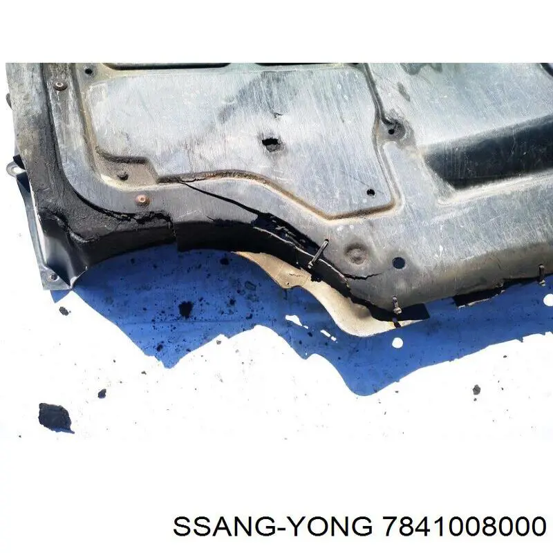 Do koszyka Zbiorniczek spryskiwacza szyb SsangYong Rexton I RJ