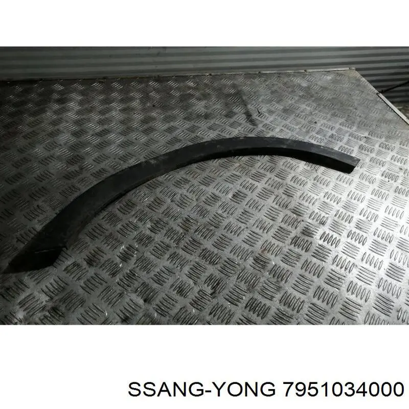 Do koszyka 7951034000 Ssang Yong Poszerzenie (nakładka) reperaturki błotnika przedniego lewy