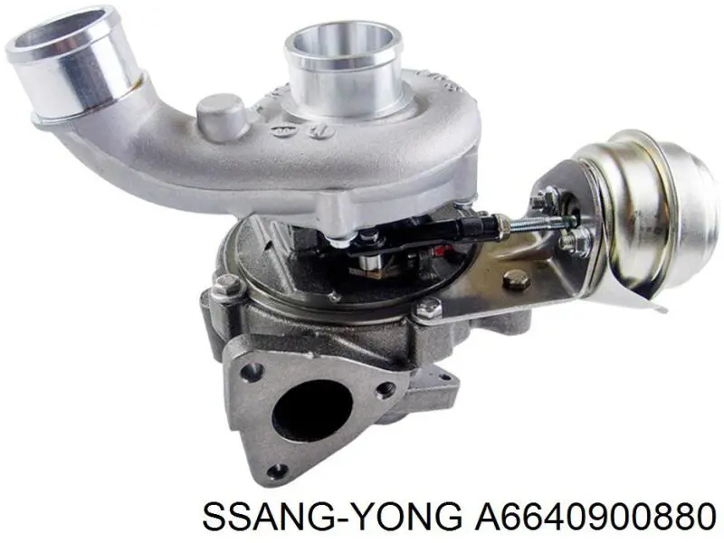 A6640900880 Ssang Yong Turbina