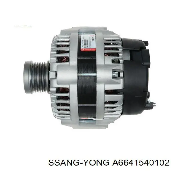 A6641540102 Ssang Yong Alternator