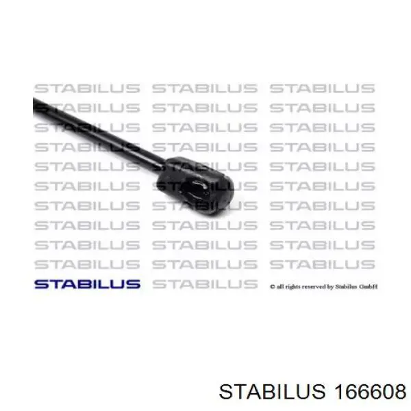  Magneti Marelli GS1466
