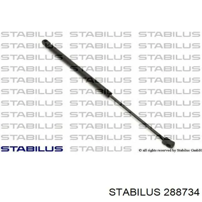 Amortyzator maski GS0928 Magneti Marelli