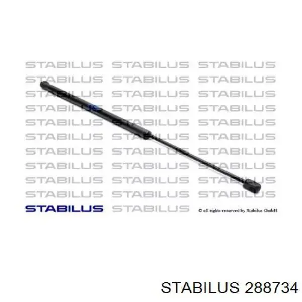 Amortyzator maski GS0928 Magneti Marelli